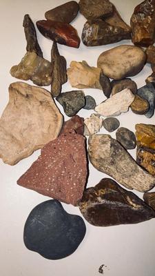 MORE PETRIFIED WOOD AND STONES