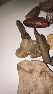 MORE PETRIFIED WOOD AND STONES