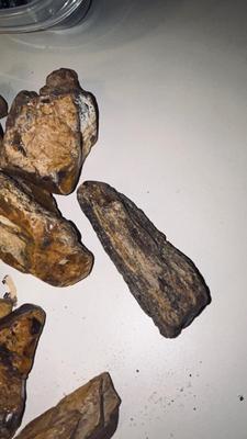 MORE PETRIFIED WOOD AND STONES