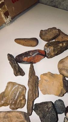 MORE PETRIFIED WOOD AND STONES
