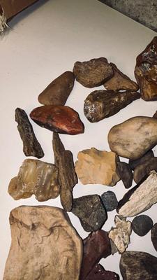 MORE PETRIFIED WOOD AND STONES