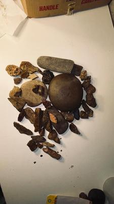 ROCKS AND PETRIFIED WOOD