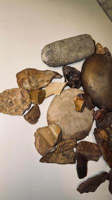 ROCKS AND PETRIFIED WOOD