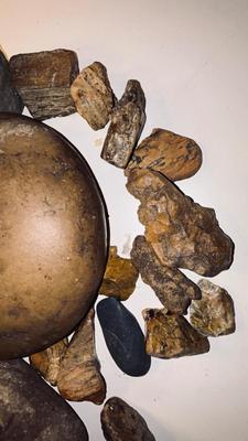 ROCKS AND PETRIFIED WOOD