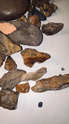 ROCKS AND PETRIFIED WOOD
