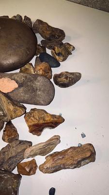 ROCKS AND PETRIFIED WOOD