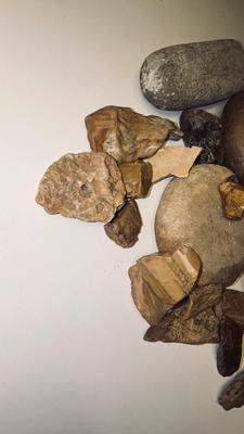 ROCKS AND PETRIFIED WOOD