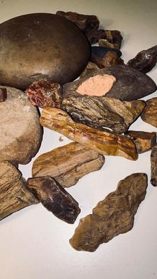 ROCKS AND PETRIFIED WOOD