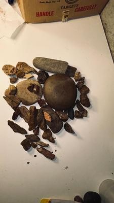 ROCKS AND PETRIFIED WOOD