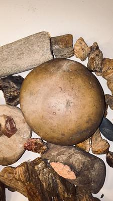 ROCKS AND PETRIFIED WOOD