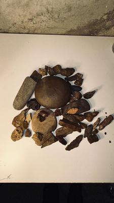 ROCKS AND PETRIFIED WOOD