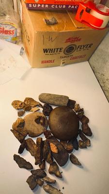 ROCKS AND PETRIFIED WOOD