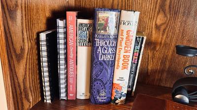 BOOK SHELF AND CONTENTS (BOOKS, DVDS & MORE)