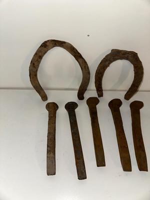RAILROAD SPIKES AND OLD HORSE SHOES