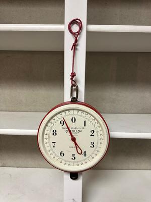 CHATILLON TYPE 720 HANGING SCALE