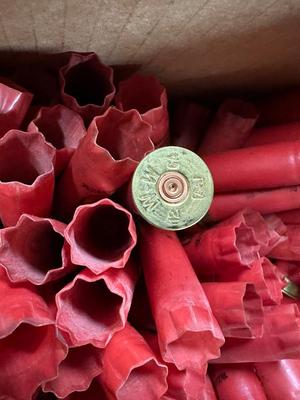 SHOTGUN SHELLS