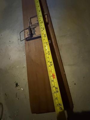 Board with mousetraps