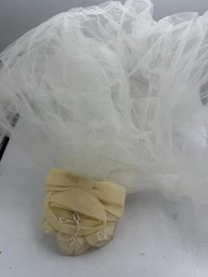 Wedding dress & veil