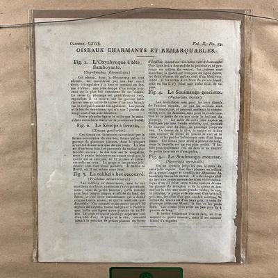 Sale Photo Thumbnail #171