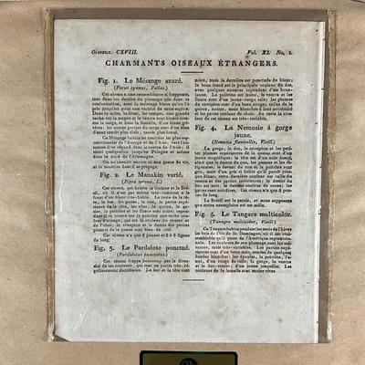 Sale Photo Thumbnail #170