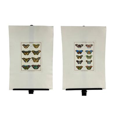 Sale Photo Thumbnail #172