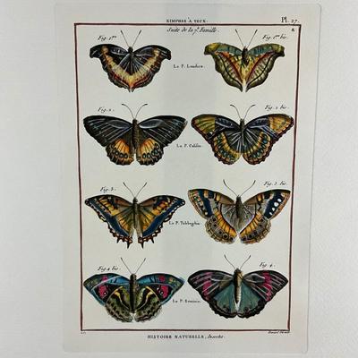 Sale Photo Thumbnail #176