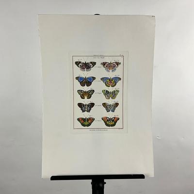 Sale Photo Thumbnail #174