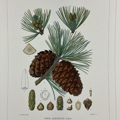 Sale Photo Thumbnail #206