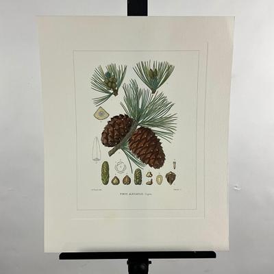 Sale Photo Thumbnail #205