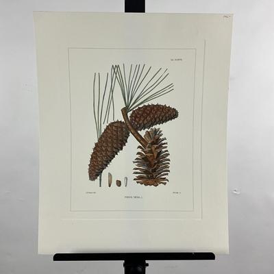 Sale Photo Thumbnail #204