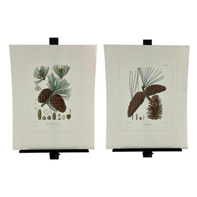 Sale Photo Thumbnail #203