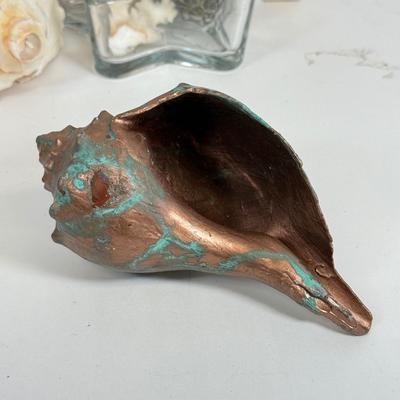 LOT 46: Collection of Shells, Pinecones & Coral