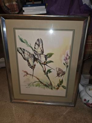 Butterfly framed print.