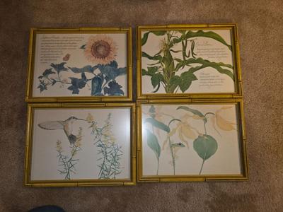 Bamboo frame picture set.
