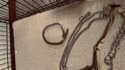 LARGE SIZED ANIMAL KENNEL, OUTWARD HOUND BACKPACK, LEASH AND CHOKE COLLARS