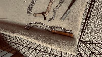 LARGE SIZED ANIMAL KENNEL, OUTWARD HOUND BACKPACK, LEASH AND CHOKE COLLARS