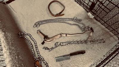 LARGE SIZED ANIMAL KENNEL, OUTWARD HOUND BACKPACK, LEASH AND CHOKE COLLARS