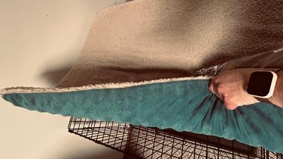 LARGE SIZED ANIMAL KENNEL, OUTWARD HOUND BACKPACK, LEASH AND CHOKE COLLARS