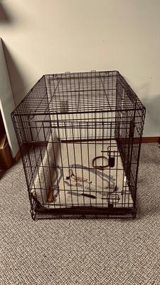 LARGE SIZED ANIMAL KENNEL, OUTWARD HOUND BACKPACK, LEASH AND CHOKE COLLARS