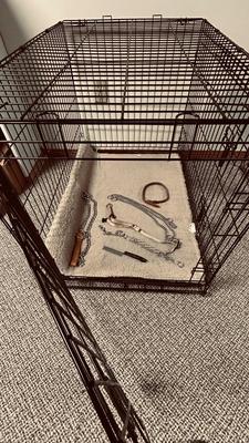 LARGE SIZED ANIMAL KENNEL, OUTWARD HOUND BACKPACK, LEASH AND CHOKE COLLARS