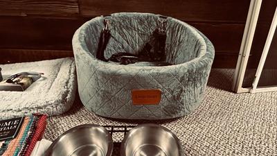 NEW LEAL CHUM DOG CAR SEAT, TOP PAW SLEEPING MAT, NEW RETRACTABLE LEASH AND MORE