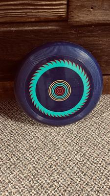 CUSTOM CRAFTED DELTA LIGHT FESTIVAL LITE KITE AND FRISBEE