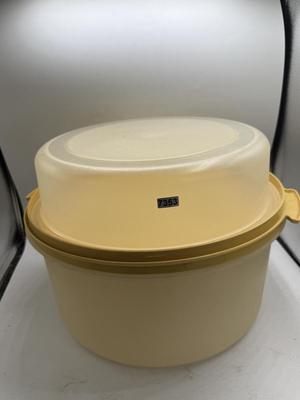 Tupperware cake tote