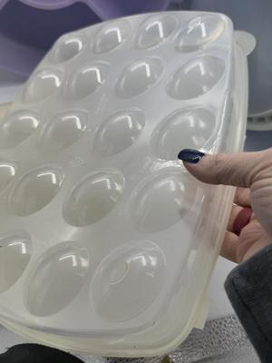 Storage containers-including egg container