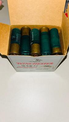 12G SHOTGUN SHELL RELOADS (THE ONES IN THE FOREFRONT ARE NEW)