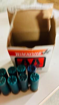 12G SHOTGUN SHELL RELOADS (THE ONES IN THE FOREFRONT ARE NEW)