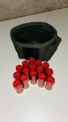 12G SHOTGUN SHELL RELOADS (THE ONES IN THE FOREFRONT ARE NEW)