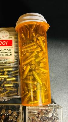 NEW .22 LONG RIFLE BULLETS