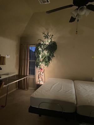 Fully adjustable bed and pillows lot