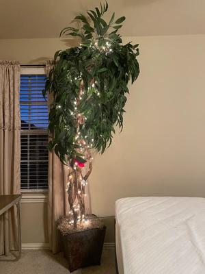 Fully adjustable bed and pillows lot